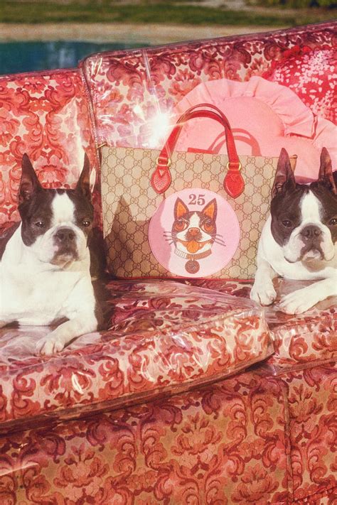 gucci chinese new year dog|Gucci releases a special collection for Chinese New Year.